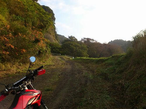 山中林道