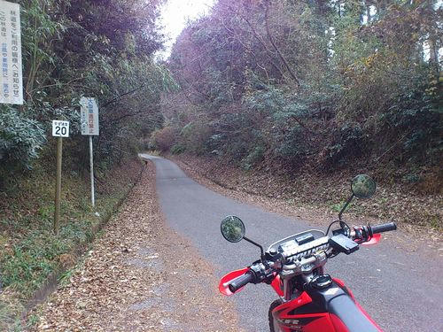 山口林道