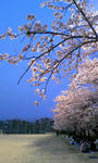090411_1828~01.JPG