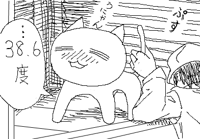 …38.6度