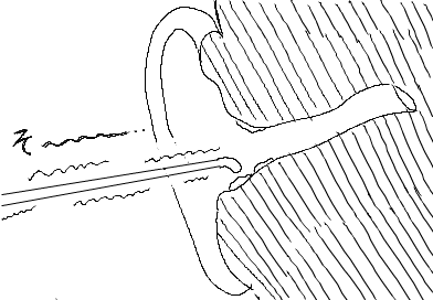 おそるおそる耳掻きを耳の穴に近づける