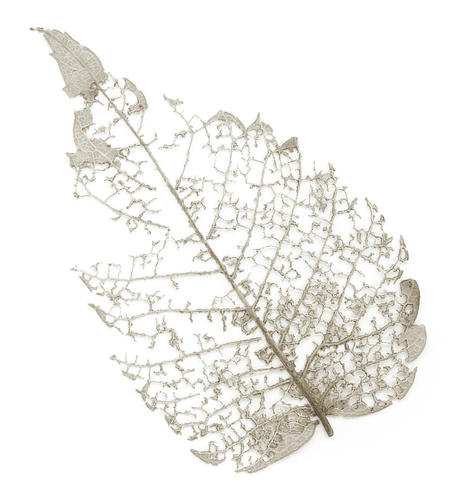 leaf.JPG