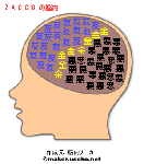 ZACCOの脳内イメージ