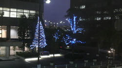 2008112517350000.jpg