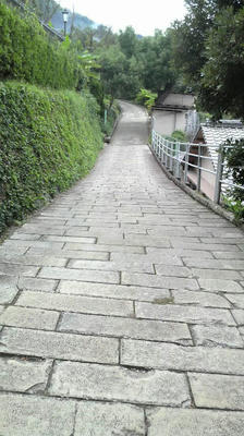 2008092812120000.jpg