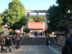 DSC00945.JPG