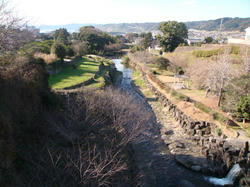 DSC00943.JPG