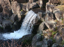 DSC00942.JPG
