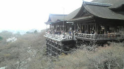 2009032315390001.jpg