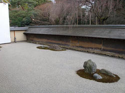 DSC01204.JPG