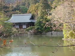 DSC01216.JPG