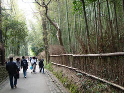 DSC01251.JPG