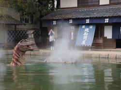 DSC01255.JPG