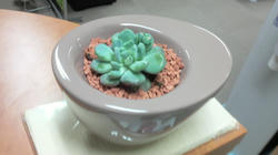 2009050209110000.jpg