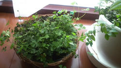2009051407060000.jpg