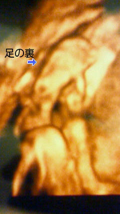 200910221833000.jpg