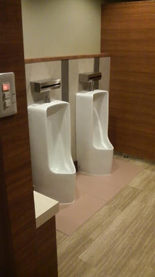 2010012308400000.jpg
