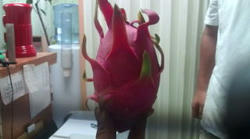 20100925083100.jpg