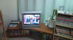 20101018140212.jpg