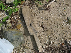 IMG_1639.jpg