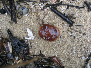IMG_2867.jpg
