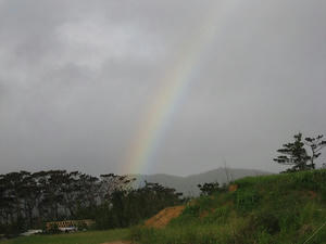 IMG_2927.jpg