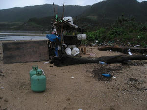 IMG_2937.jpg