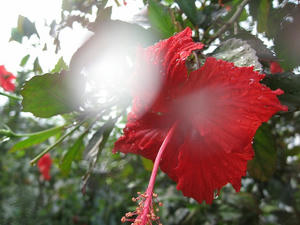 IMG_2990.jpg