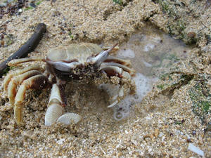 IMG_2996.jpg