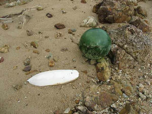 IMG_3129.jpg