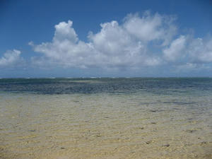 IMG_1822.jpg