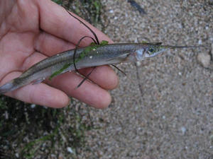 IMG_3428.jpg
