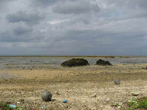 IMG_3516.jpg