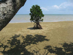IMG_1899.jpg