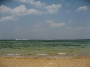 IMG_3787.jpg