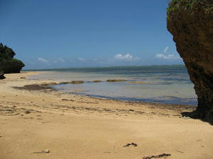 IMG_1819.jpg