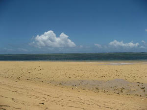 IMG_1831.jpg
