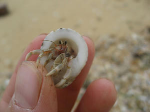 IMG_4149.jpg