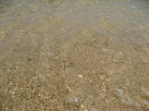 IMG_4663.jpg