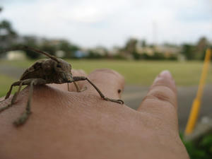 IMG_4687.jpg