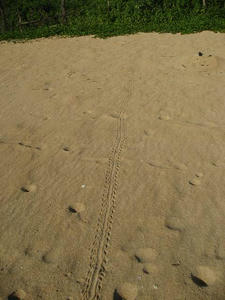 IMG_6157.jpg