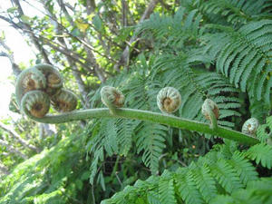IMG_6672.jpg