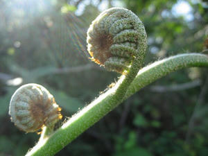 IMG_6678.jpg