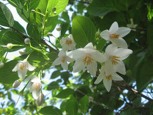 IMG_6689.jpg
