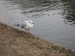 IMG_0533.jpg