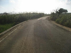 IMG_0905.jpg