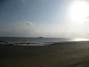 IMG_0907.jpg