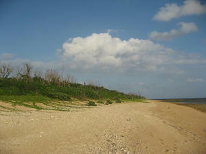 IMG_0912.jpg