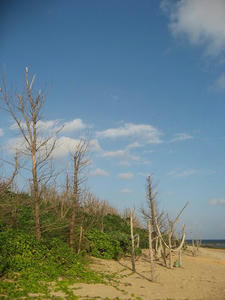 IMG_0919.jpg
