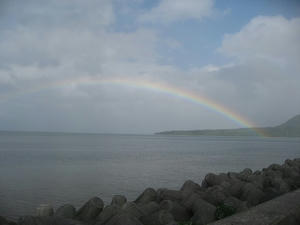 IMG_1880.jpg